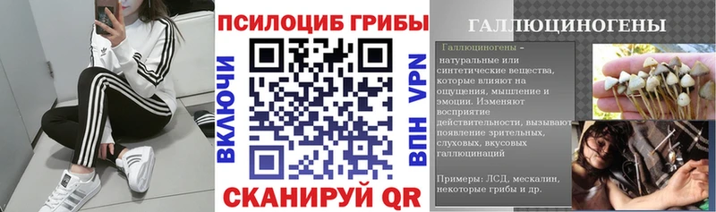 Галлюциногенные грибы ЛСД  купить закладку  Сольцы 