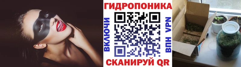 магазин продажи наркотиков  Сольцы  Марихуана THC 21% 